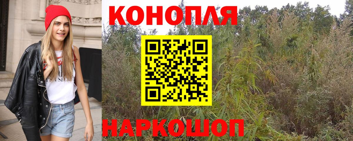 Конопля гибрид  Вход с VPN  Канабис THC 21%  Будённовск  Марихуана AK-47 